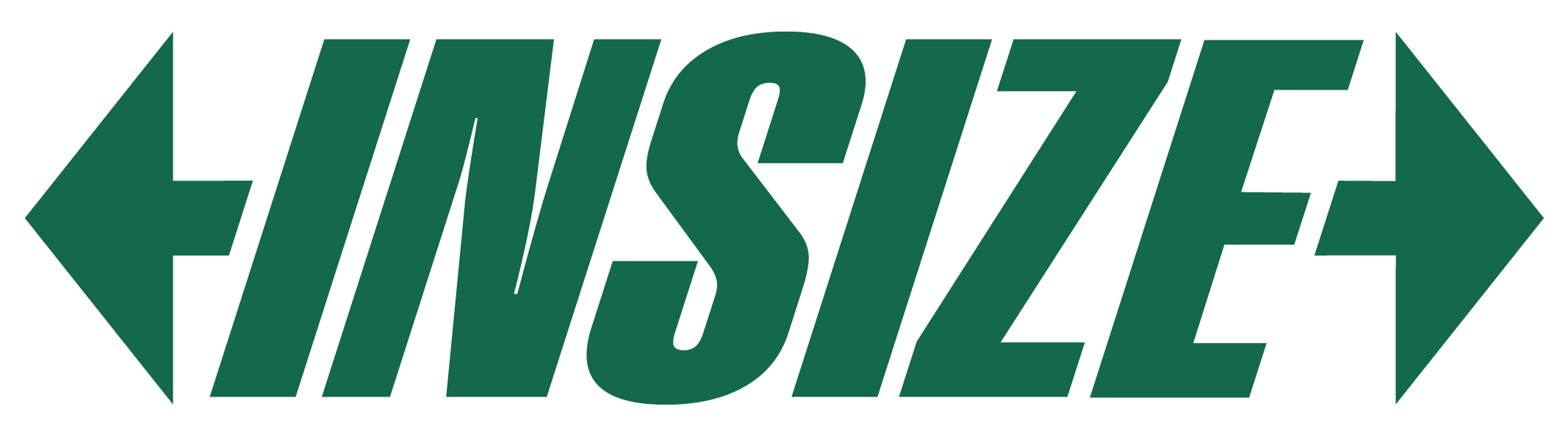 INSIZE logo